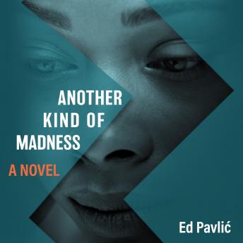 Another Kind of Madness: A Novel by Ed Pavlic audiobook