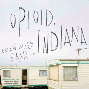 Opioid, Indiana sample.