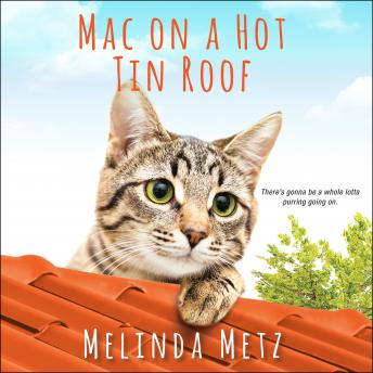 Mac on a Hot Tin Roof, Melinda Metz