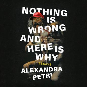 Nothing Is Wrong and Here Is Why: Essays details