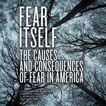 Fear Itself: The Causes and Consequences of Fear in America