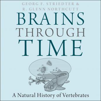Brains Through Time: A Natural History of Vertebrates