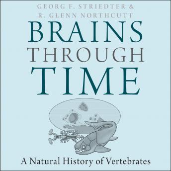Brains Through Time: A Natural History of Vertebrates