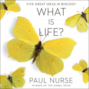 Download What Is Life?: Five Great Ideas in Biology by Paul Nurse