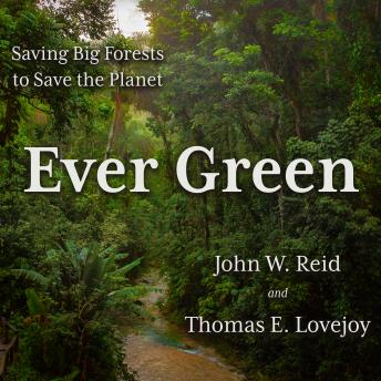 Download Ever Green: Saving Big Forests to Save the Planet by John W. Reid, Thomas E. Lovejoy