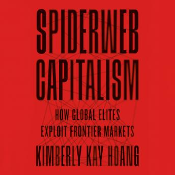 Spiderweb Capitalism: How Global Elites Exploit Frontier Markets