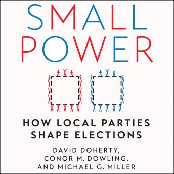 Small Power: How Local Parties Shape Elections