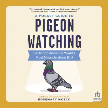 Download Pocket Guide to Pigeon Watching: Getting to Know the World's Most Misunderstood Bird by Rosemary Mosco