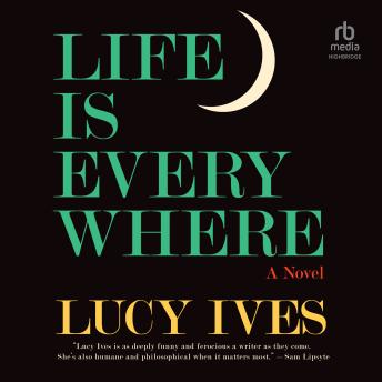 Life Is Everywhere: A Novel