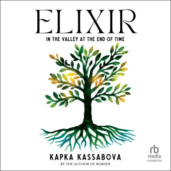 Elixir: In the Valley at the End of Time