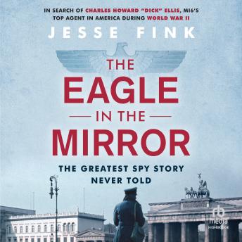 Download Eagle in the Mirror by Jesse Fink
