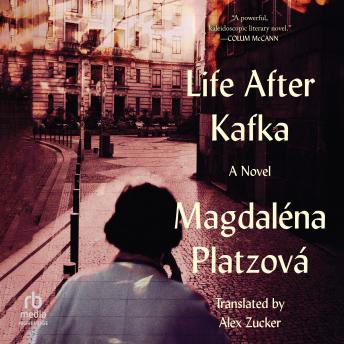 Grab the Essential Full Audiobooks in Literature, Literary Fiction