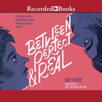 Between Perfect and Real, Ray Stoeve