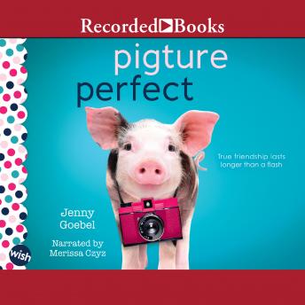Pigture Perfect: A Wish Novel