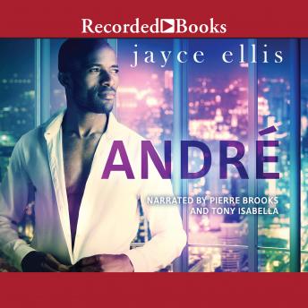 André: A Gay Workplace Romance
