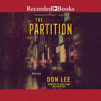 Partition, Audio book by Don Lee