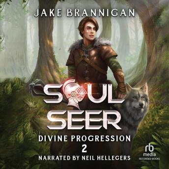Soulseer: Divine Progression: A LitRPG Adventure