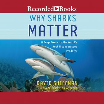 Why Sharks Matter: A Deep Dive with the World's Most Misunderstood Predator