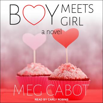 Boy Meets Girl: A Novel