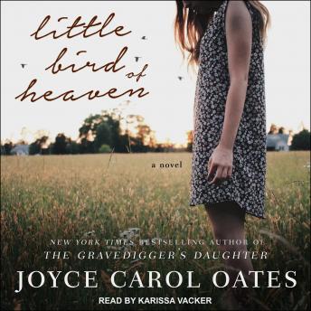 Little Bird of Heaven: A Novel