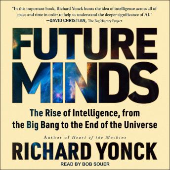 Future Minds: The Rise of Intelligence, from the Big Bang to the End of the Universe
