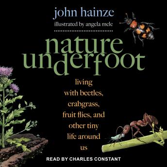 Nature Underfoot: Living with Beetles, Crabgrass, Fruit Flies, and Other Tiny Life Around Us, Audio book by John Hainze