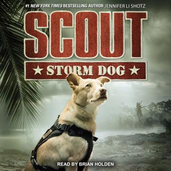 Scout: Storm Dog