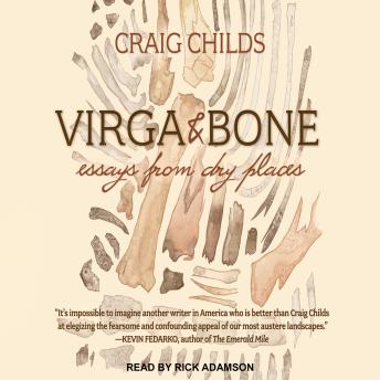 Virga & Bone: Essays from Dry Places