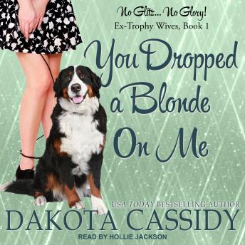 Download You Dropped a Blonde On Me by Dakota Cassidy