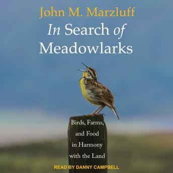 In Search of Meadowlarks: Birds, Farms, and Food in Harmony with the Land