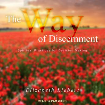 The Way of Discernment: Spiritual Practices for Decision Making