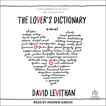 The Lover's Dictionary: A Novel