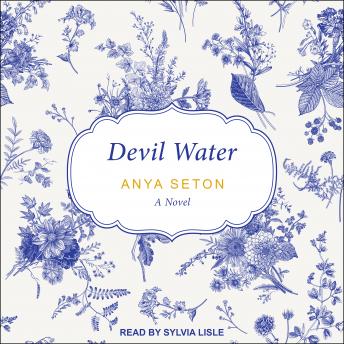 Devil Water sample.