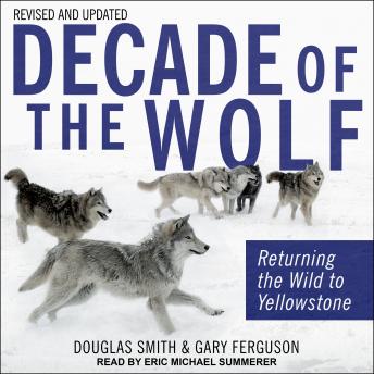 Decade of the Wolf, Revised and Updated: Returning The Wild To Yellowstone, Gary Ferguson, Douglas Smith