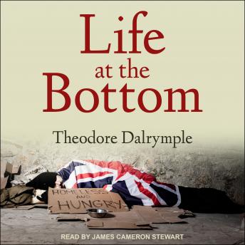 Life at the Bottom: The Worldview That Makes the Underclass sample.