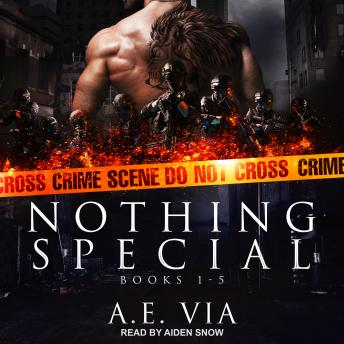 Download Nothing Special Series Box Set: Books 1-5 by A.E. Via