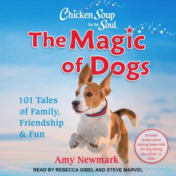Chicken Soup for the Soul: The Magic of Dogs: 101 Tales of Family, Friendship & Fun sample.