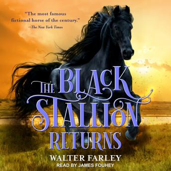 Black Stallion Returns sample.