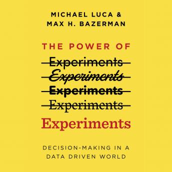 The Power of Experiments: Decision-Making in a Data Driven World
