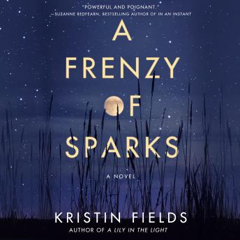 A Frenzy of Sparks: A Novel