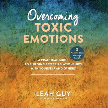 Overcoming Toxic Emotions: A Practical Guide to Building Better Relationships with Yourself and Others
