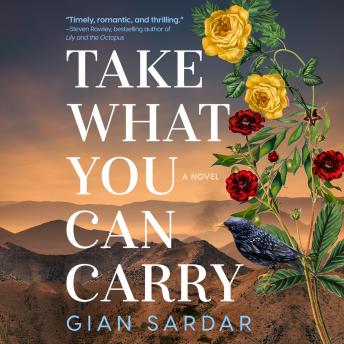 Take What You Can Carry: A Novel