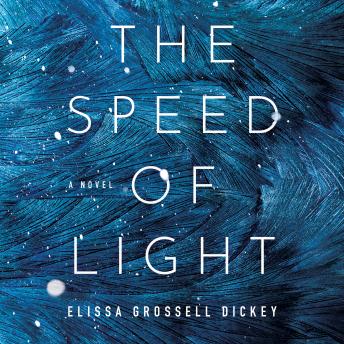 The Speed of Light: A Novel