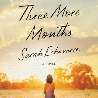 Three More Months: A Novel