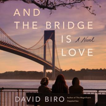 And the Bridge Is Love: A Novel