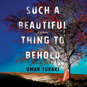 Such a Beautiful Thing to Behold: A Novel