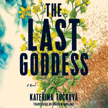 The Last Goddess: A Novel