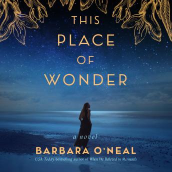 This Place of Wonder: A Novel