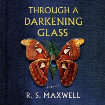 Through a Darkening Glass: A Novel