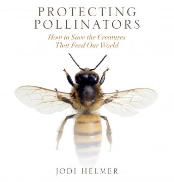 Protecting Pollinators: How to Save the Creatures that Feed Our World